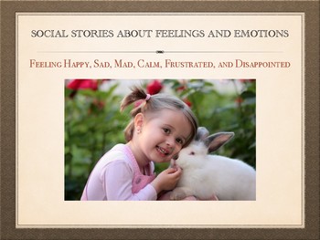 Preview of Social Stories for Emotions