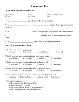 Social Studies: Levels and Branches of Government Test by Mrs D Teaches