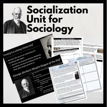 Preview of Socialization Unit for Sociology: Print and Digital