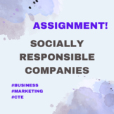 Socially Responsible Companies Assignment