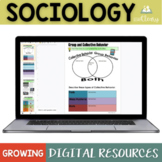 Sociology Digital Activities in Google Slides