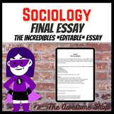 Sociology Final Essay THE INCREDIBLES Sociological Paradig