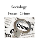 Sociology Small Group Focus: Crime