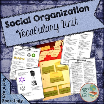 Preview of Sociology Social Organization Vocabulary Unit