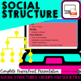 Intro to Sociology PowerPoint Lesson for Social Structure Unit