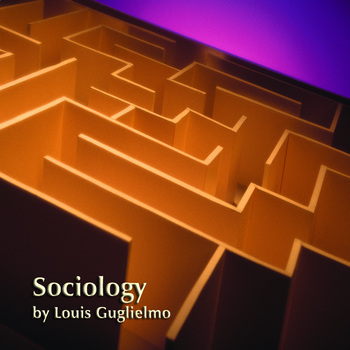 Preview of Sociology-Teacher Manual, Lesson Plans, Class Notes, Activities, Assess., PPT's