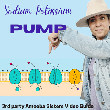 Preview of Sodium Potassium Pump (a guide to amoeba sister video)