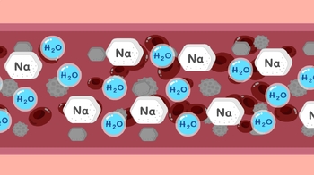 Preview of Sodium and water in the blood vessel system of the body