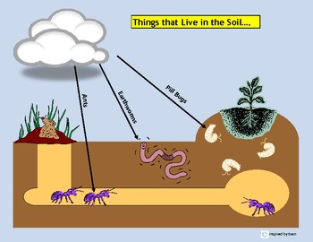 Preview of Soil Conservation & Soil Life Visual Tools/Flashcards for Autism