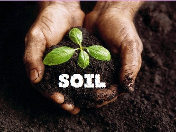 Preview of Soil Flipchart