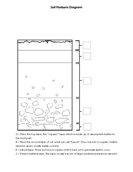 Preview of Soil Horizons Diagram