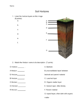 Soil Horizons Worksheet by Tagged to be an Owl TpT