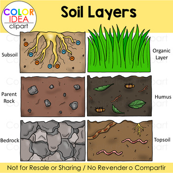 Preview of Soil Layers