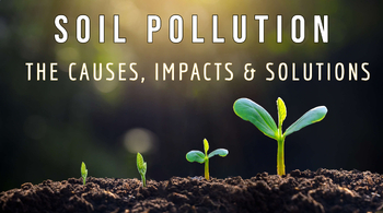 Preview of Causes and Impacts of Soil Pollution Environmental Science Middle School