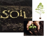 Soil PowerPoint