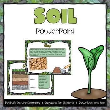Preview of Soil Powerpoint