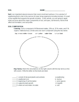 Preview of Soil Printable and Digital Worksheets with Answer Key