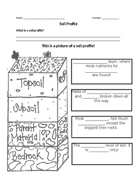 soil profile diagrams labelling