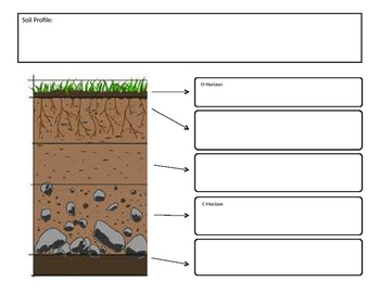 Preview of Soil Profile Graphic Organizer