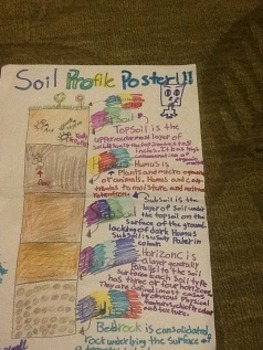 Preview of Soil Profile (Horizon) Poster activity with grading rubric