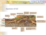 Soil and Erosion - Soil Conservation