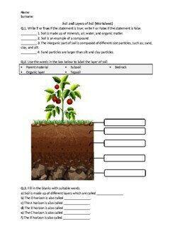 Preview of Soil and Layers of Soil - Worksheet | Printable and Distance Learning