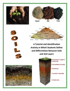 Preview of Soils and the Soil Profile (COLORFUL and EASY TO FOLLOW!)