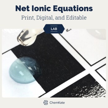 Preview of Net Ionic Equations Solubility Lab - Print, Digital, and Editable