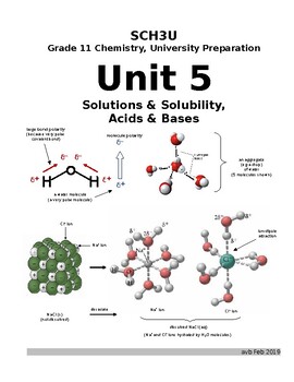 Preview of Solution (Aqueous) Chemistry (22 pages) with Answer Sets (Word Document)