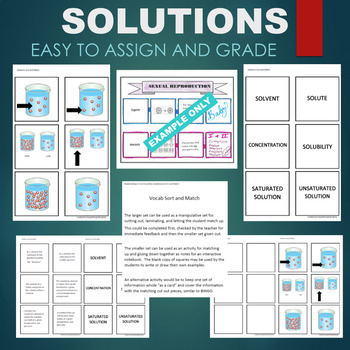 Preview of Solutions (Concentration, Saturated, Solvent) Sort & Match STATIONS Activity