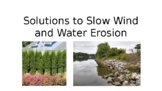 Solutions for Preventing Water and Wind Erosion
