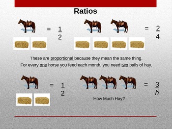 ratios and proportions in everyday life