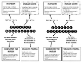 Solving Quadratics Graphic Organizer