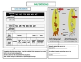 Somatic vs gamete mutations 1 pager