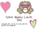 Some Bunny Loves You { ies plurals}