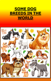 Some Dog Breeds in the World