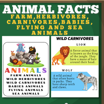 Preview of Some Fun Facts About Animals