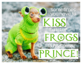 Sometimes You Have to Kiss a lot of Frogs - Funny Cute Mot