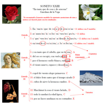 Preview of Soneto XXIII "En tanto que de rosa..." Lesson Plan & PowerPoint