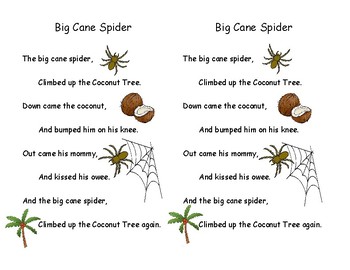 Spider life cycle song