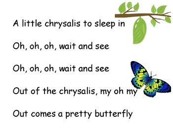 Song Chart: Pretty Butterfly by Ms Ashleys Creations | TpT