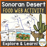 Sonoran Desert: Food Web Activity, Ecosystem, & Animal Research