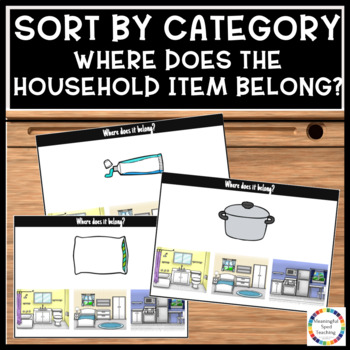 Preview of Sort By Category Common Household Items Task Cards Life Skills Special Education