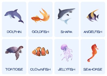 Sort Categories of Animals Sea and Land by SpeechieStar | TPT