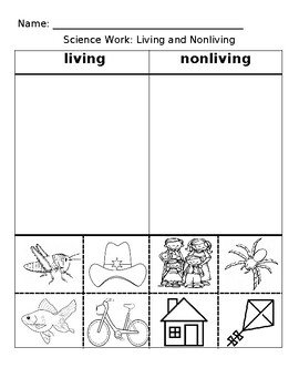Preview of Sort: Living/Not Living