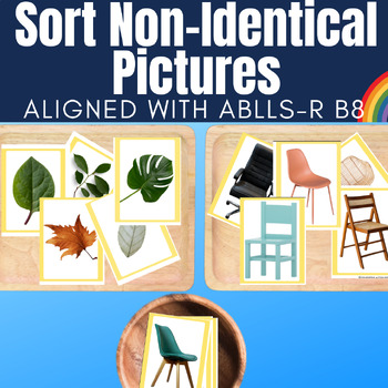 Preview of Sort Non-Identical Pictures for ABA Autism ABLLS-R B8 with Photos