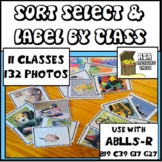 Sort Select Label by Class Category, ABLLS-R B19, C39, G17