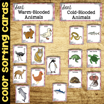 What Animals Are Cold Blooded Video Lesson Transcript Study Com