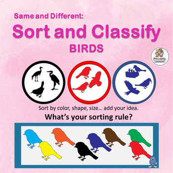 Preview of Sorting Activities - Matching Objects & Graphing - Same & Different Bird Shapes