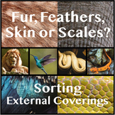 Sorting Activity: Exterior Coverings (Fur, Skin, Feathers,